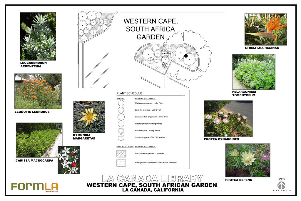 Z:CADCAD LANDSCAPE PROJECTSLaCanada library 03.08Presentation 15 MAY 2010 SOUTH AFRICAN (1)